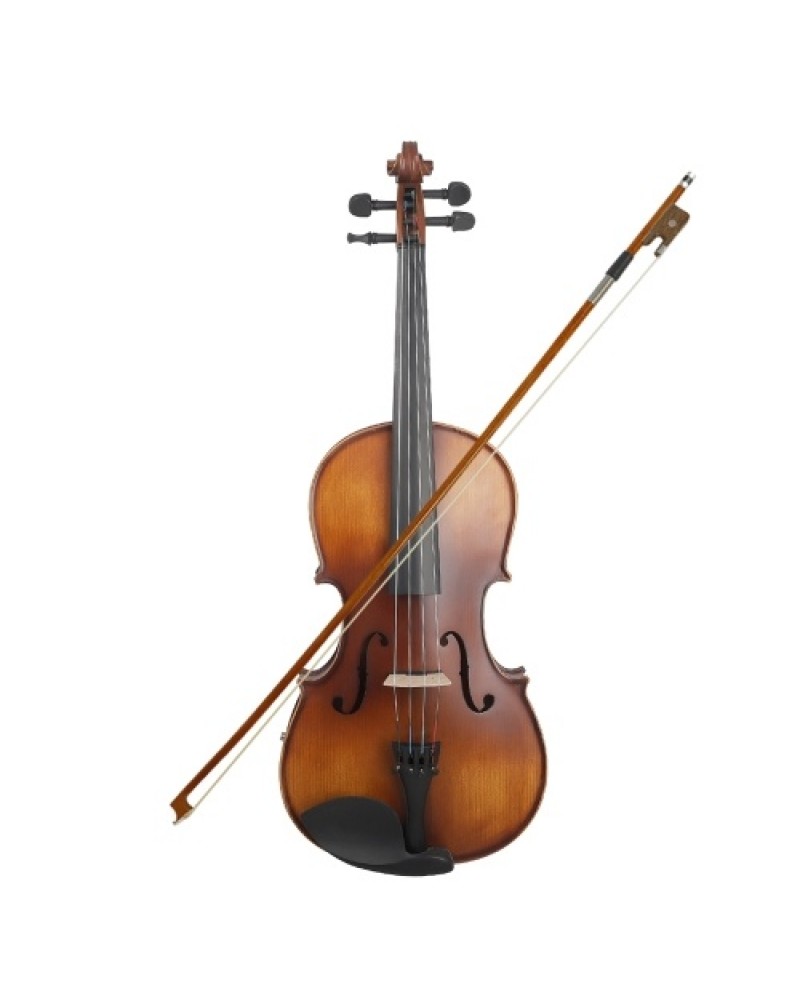 16inch Electric Viola EQ Spruce Wood with Bow Cleaning Cloth Carry Box for Adults Children Beginner