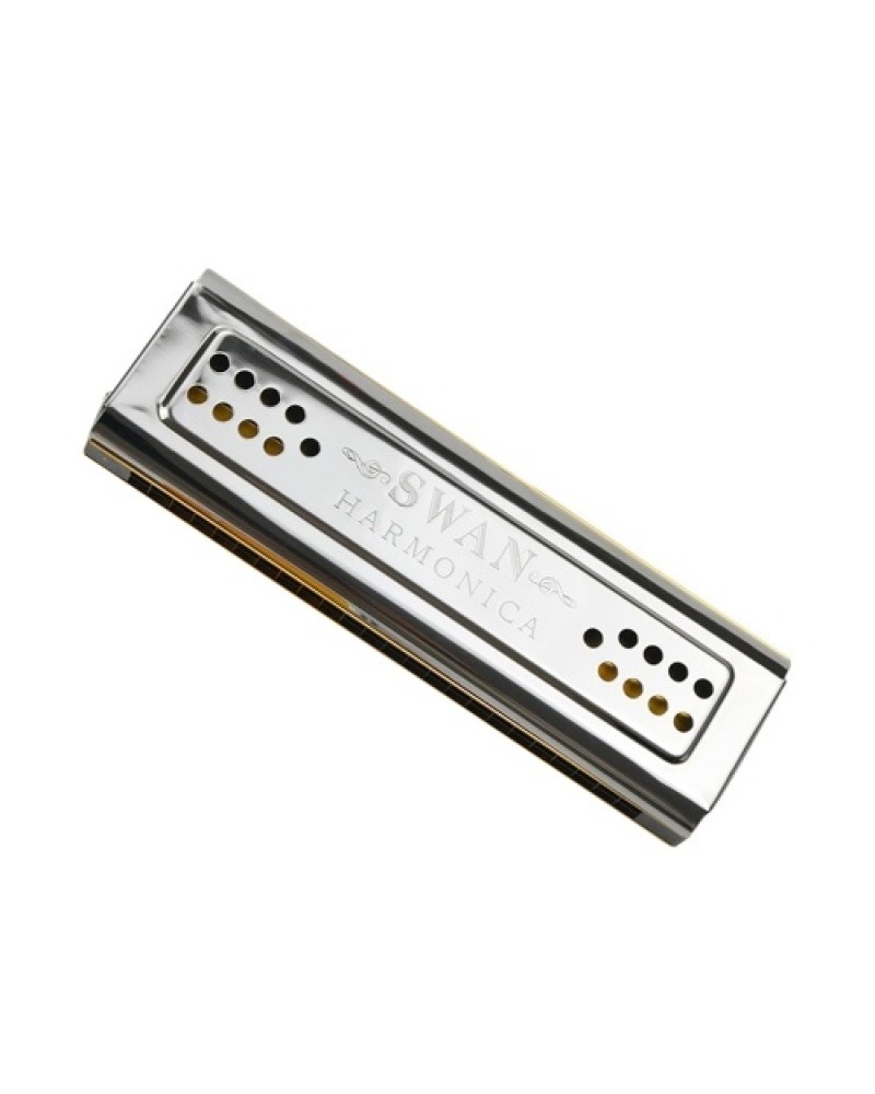 Both Sides Harmonica 24 Holes C And G Double Tones Harmonica Mouth Organ Woodwind Instruments