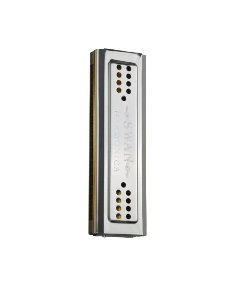 Both Sides Harmonica 24 Holes C And G Double Tones Harmonica Mouth Organ Woodwind Instruments