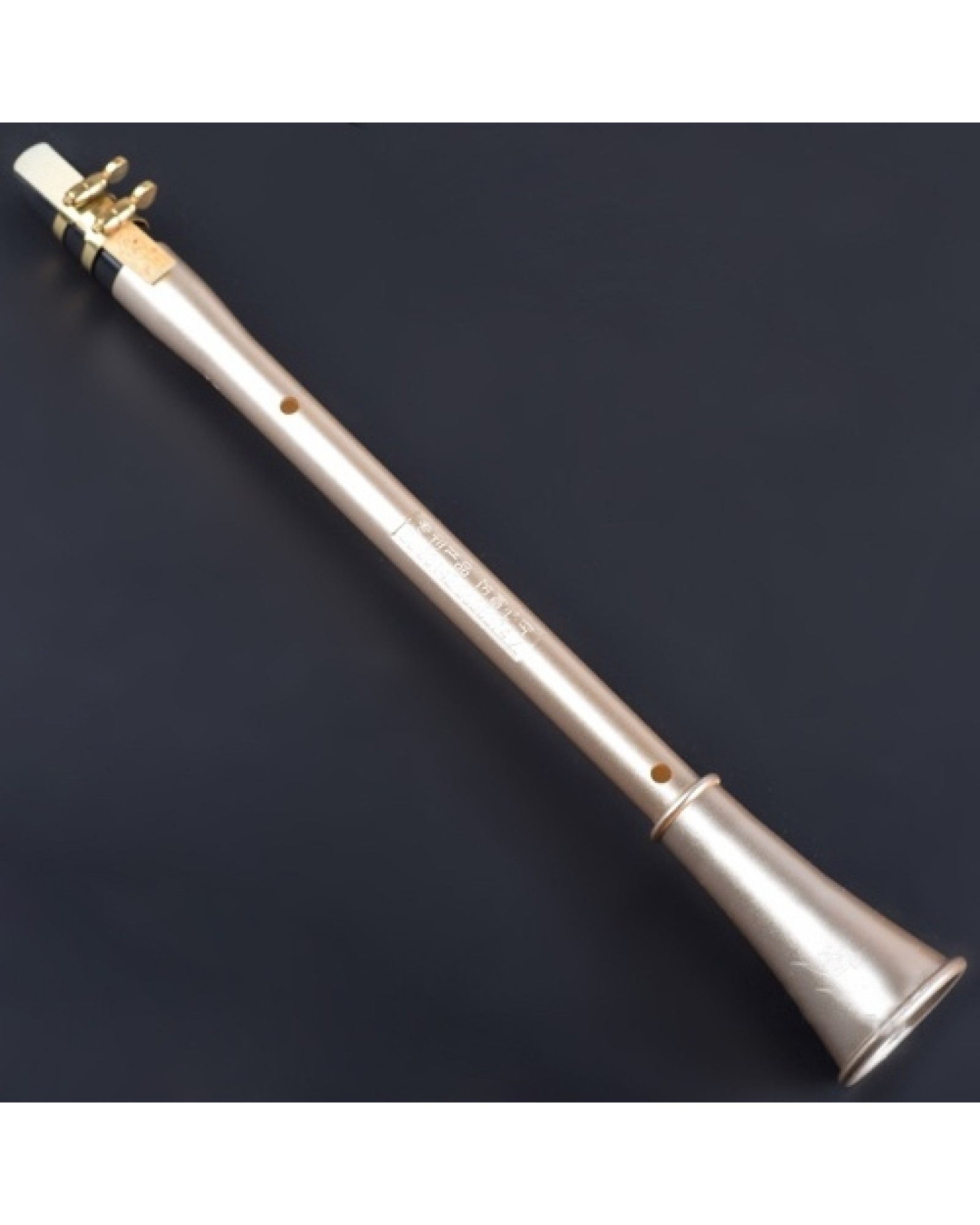 Pocket Clarinet Sax Mini Portable Clarinet-Saxophone Little Saxophone With Carrying Bag Woodwind Instrument