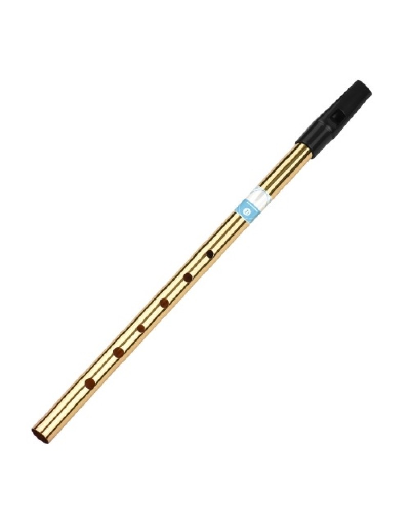 Irish Whistle Flute Key of D 6 Holes Flute Wind Musical Instruments for Beginners Intermediates Experts