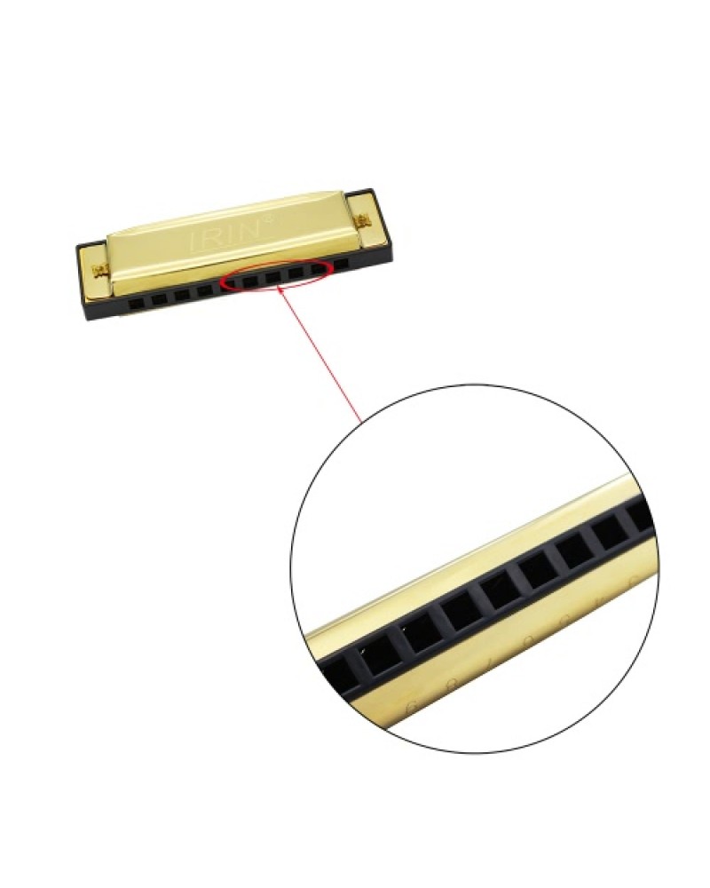 10 Holes 20 Tone Diatonic Blues Harmonica Key of C with Case for Beginner Children Golden