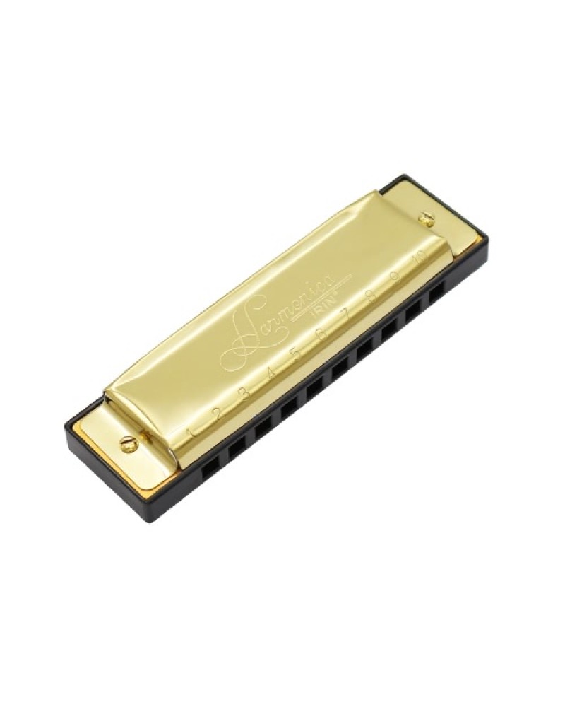 10 Holes 20 Tone Diatonic Blues Harmonica Key of C with Case for Beginner Children Golden