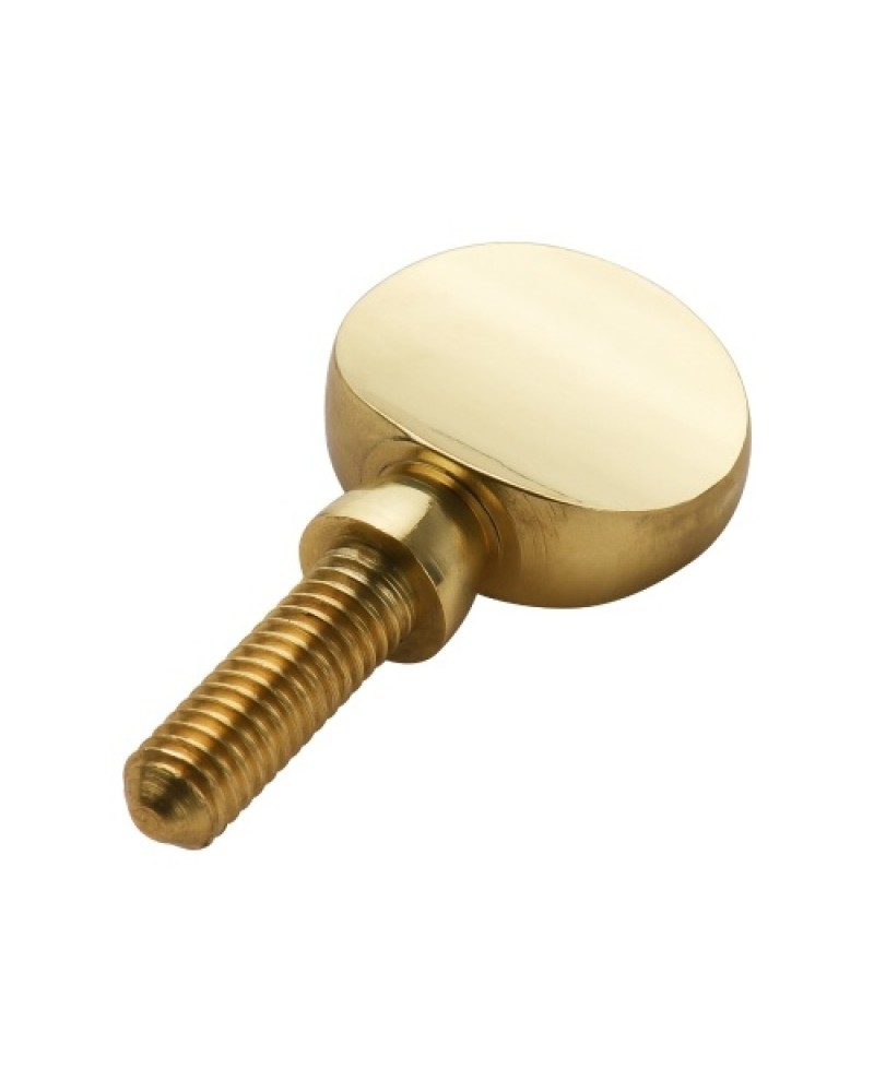 5pcs Brass Sax Neck Tightening Screws Saxophone Replacement Parts Copper Attachment Neck Receiver Tightening Attach Screw Univer