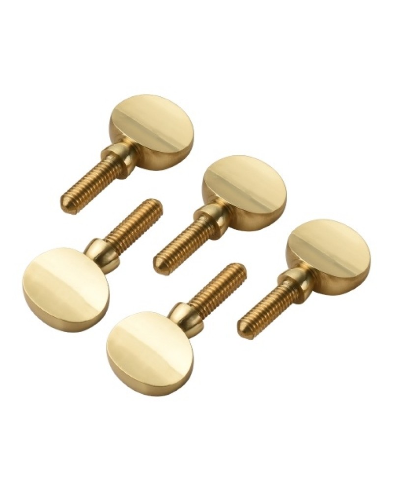 5pcs Brass Sax Neck Tightening Screws Saxophone Replacement Parts Copper Attachment Neck Receiver Tightening Attach Screw Univer