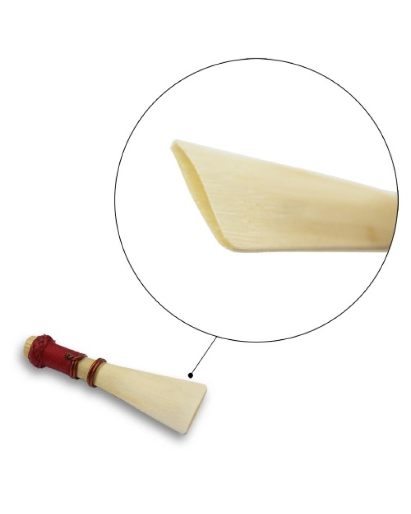Medium Strength for Bassoon Reed 1pcs Accessory with Case