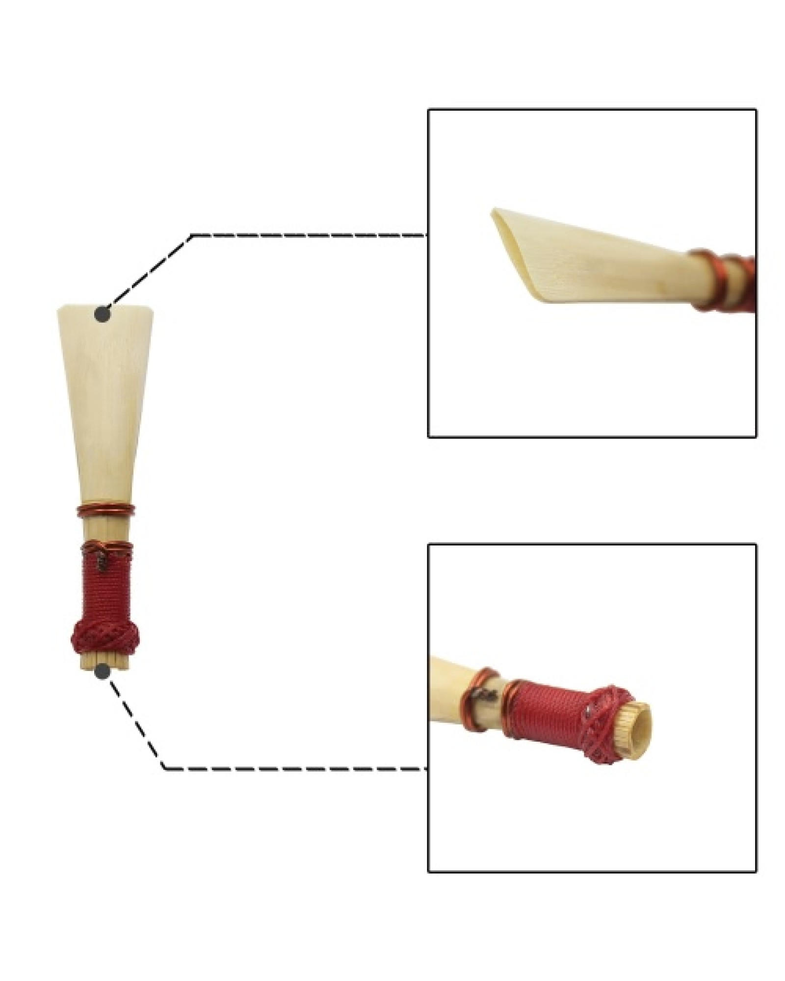 Medium Strength for Bassoon Reed 1pcs Accessory with Case