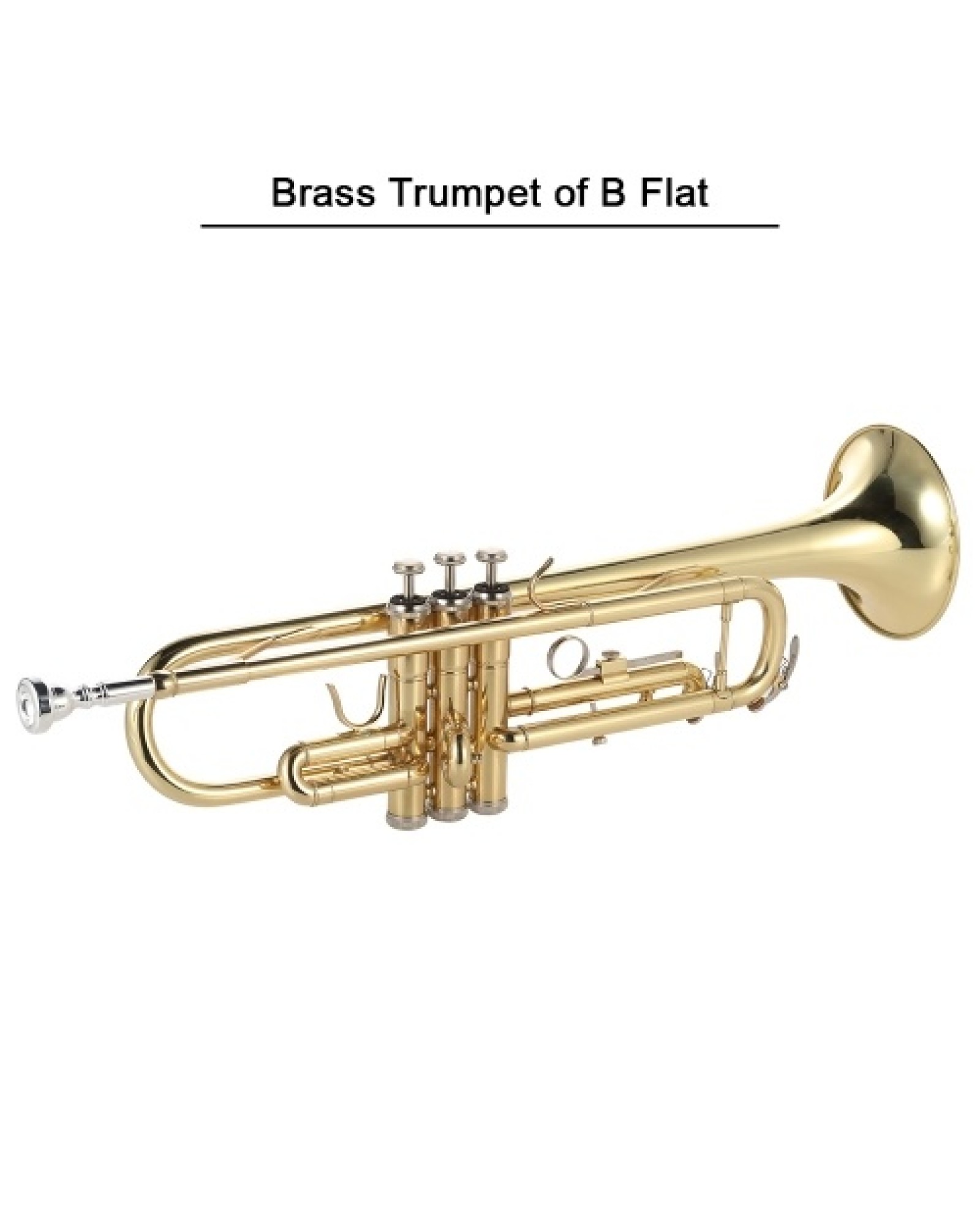 Trumpet Bb Flat Brass Gold-painted Exquisite Durable Musical Instrument