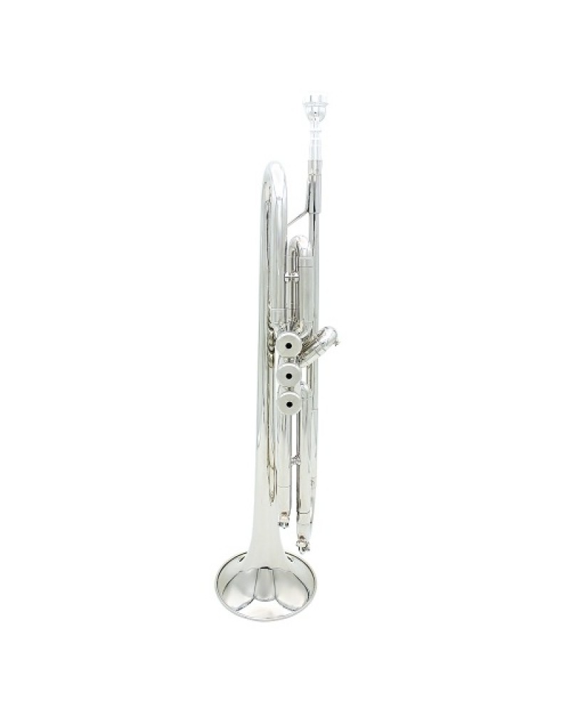 Trumpet Bb B Flat Brass Exquisite with Mouthpiece Gloves