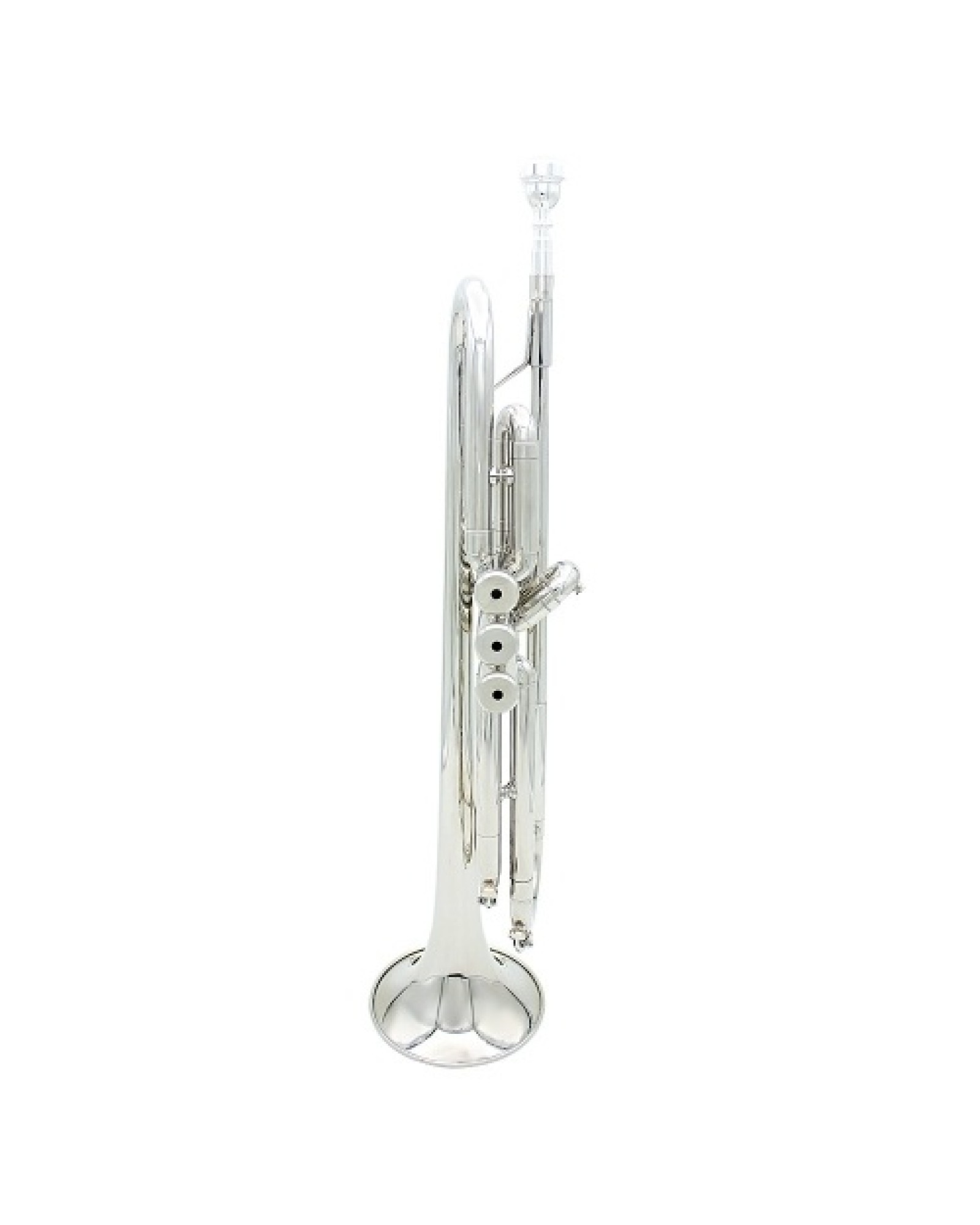 Trumpet Bb B Flat Brass Exquisite with Mouthpiece Gloves