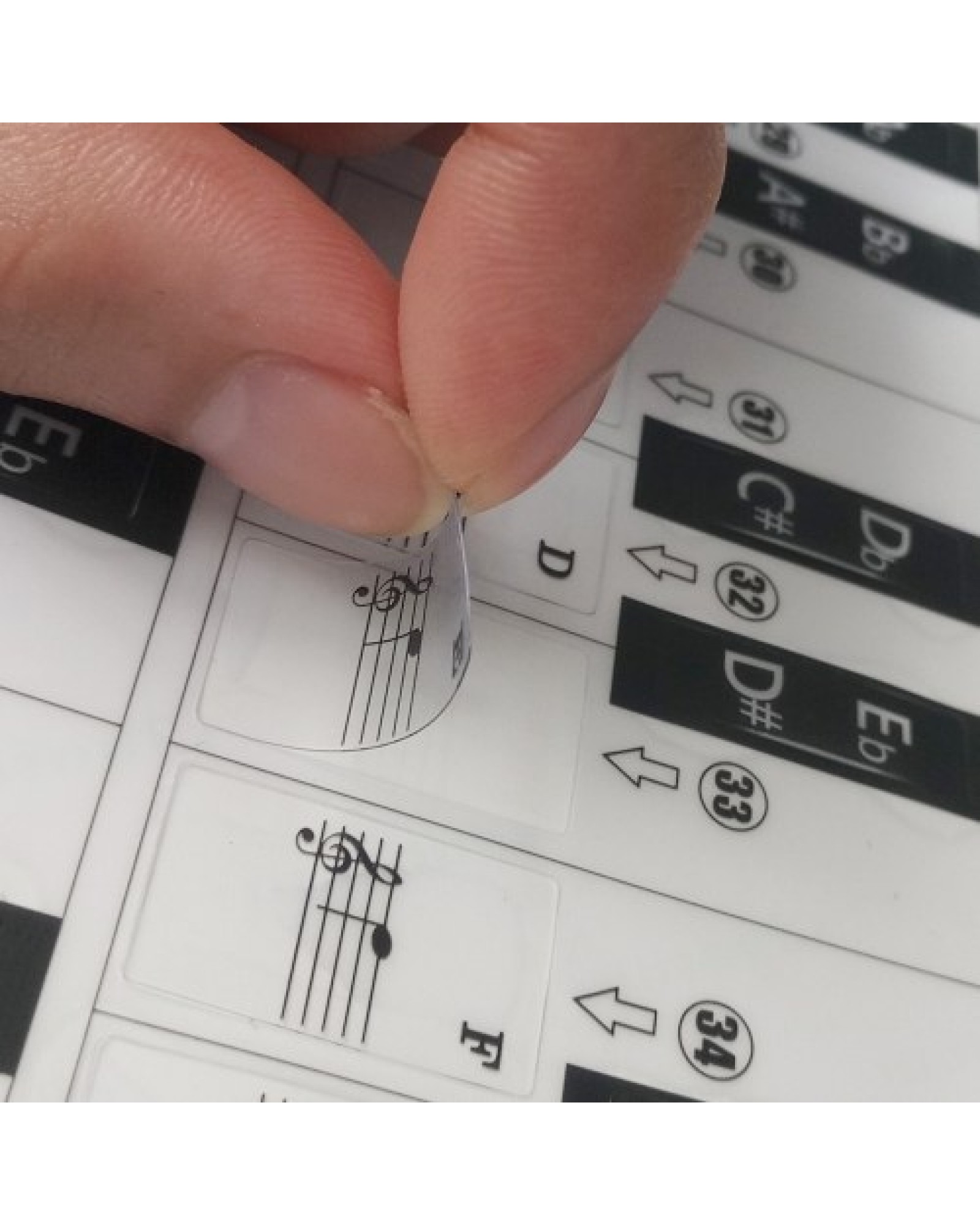 T-31W Removable Piano Keyboard Stickers
