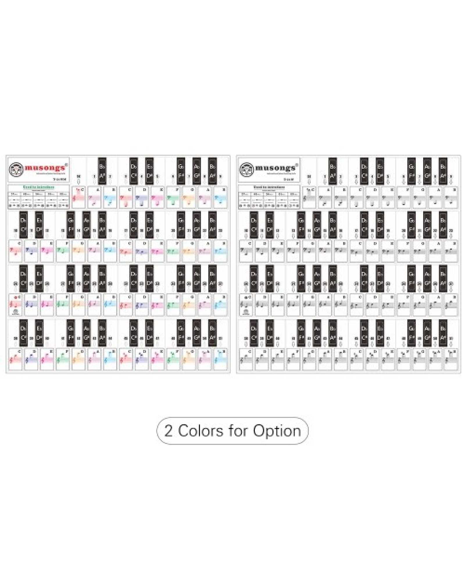T-31W Removable Piano Keyboard Stickers