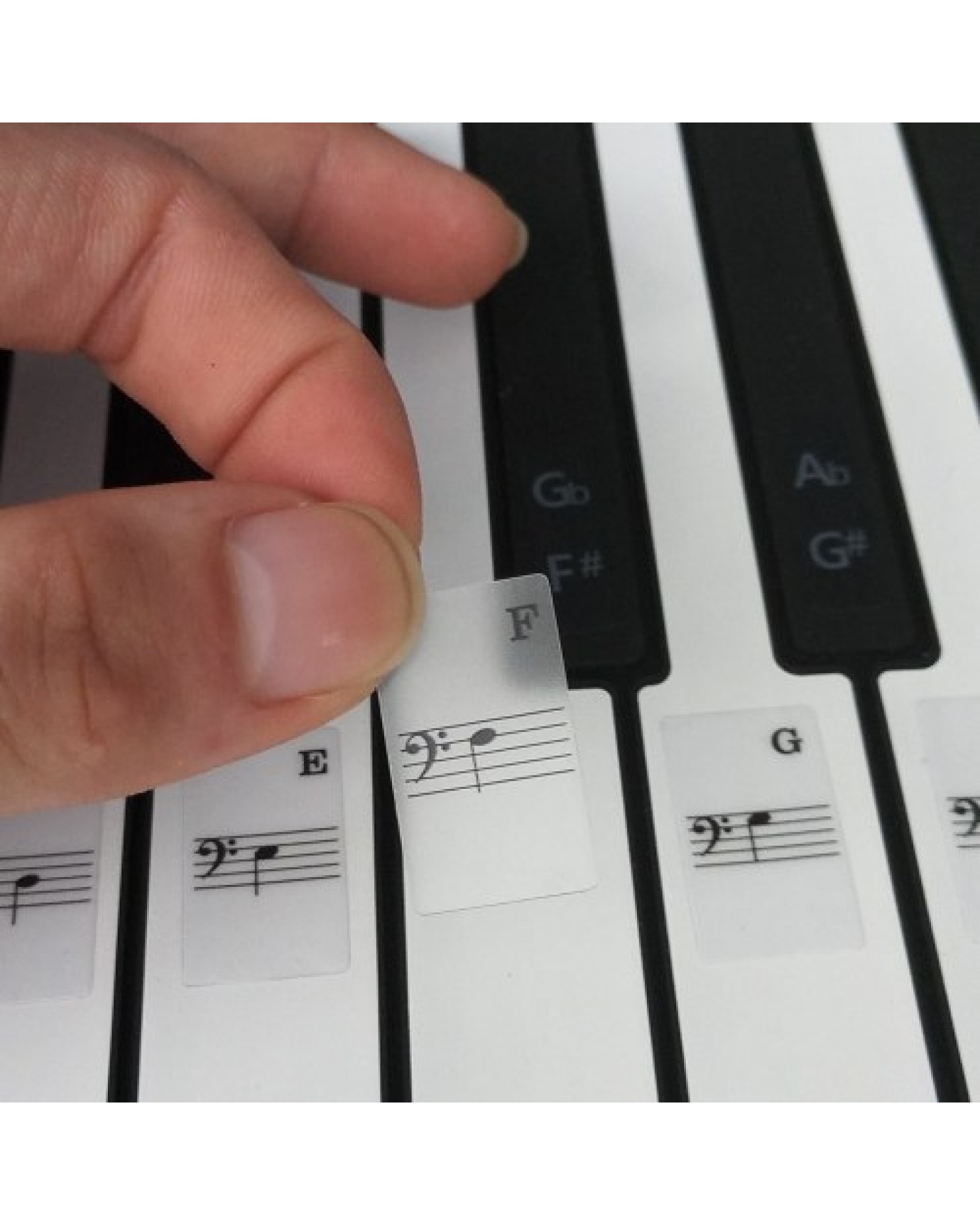 T-31W Removable Piano Keyboard Stickers