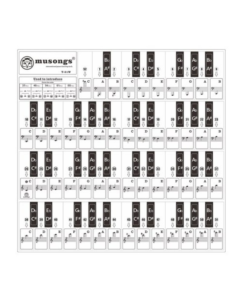 T-31W Removable Piano Keyboard Stickers
