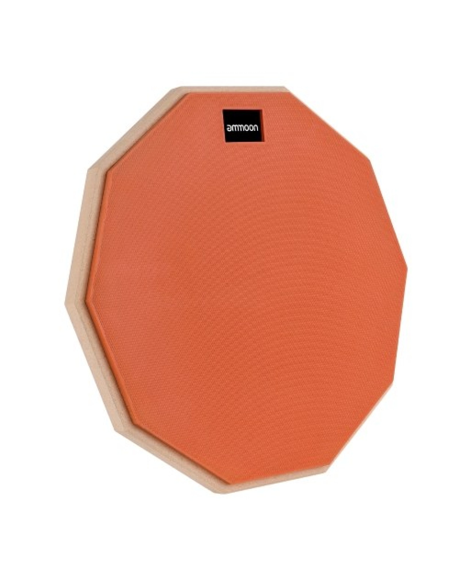 12 Inch Drum Practice Pad Mute Drum Pad with Drum Stick Carrying Bag for Students Beginners