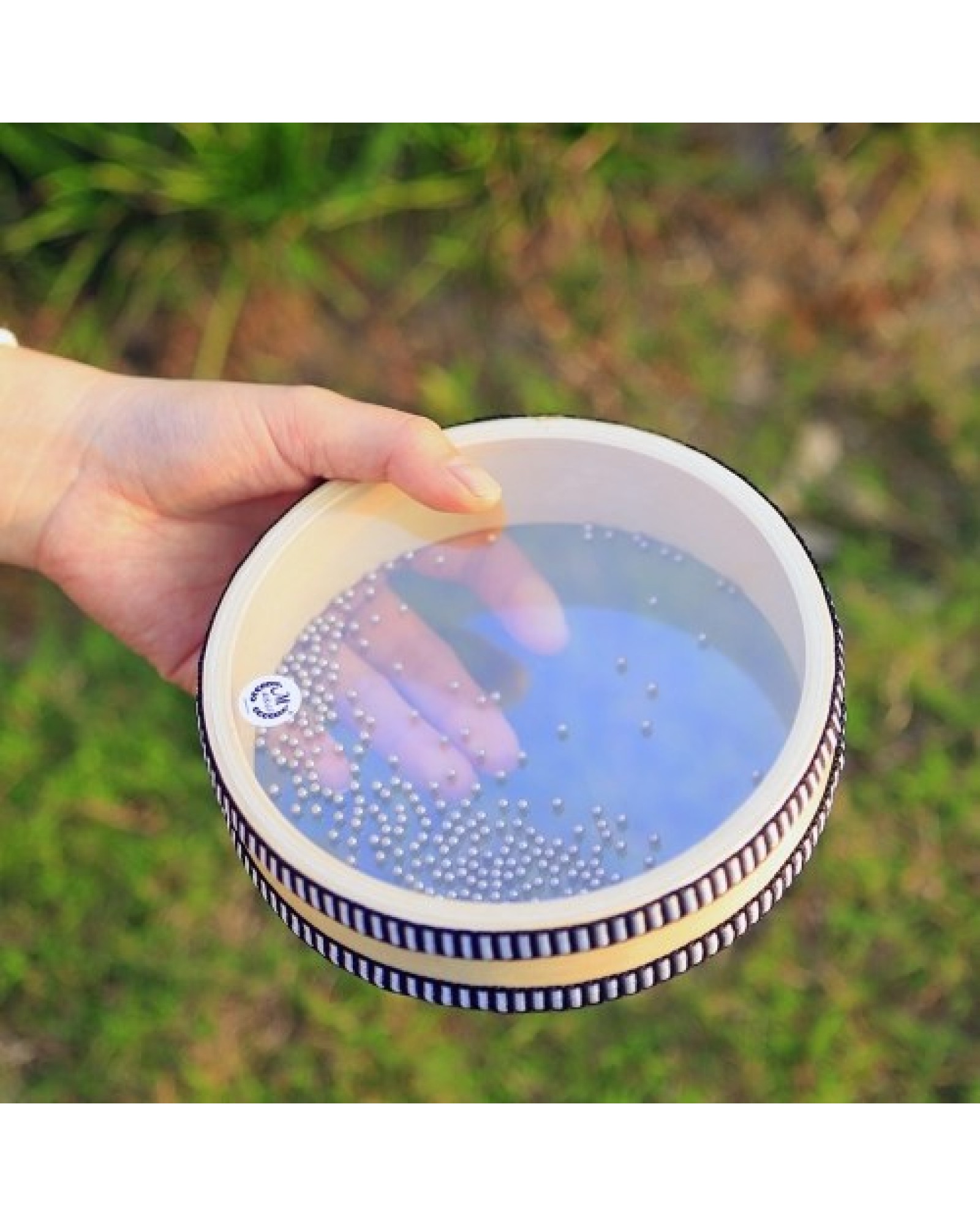 6-inch Transparent Wave Drum Natural Color Ocean Drum Early Educational Percussion Instrument for Children Boys Girls