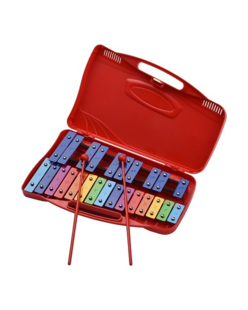 25 Notes Glockenspiel Xylophone Hand Knock Xylophone Percussion Rhythm Musical Educational Teaching Instrument Toy with Case 2 M