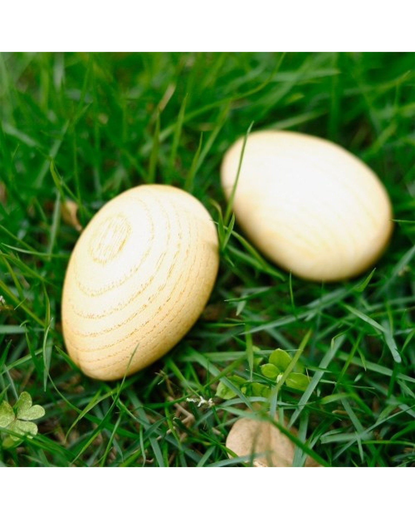 Wooden Maracas Egg Shakers Musical Percussion Instrument Eggs 2pcs