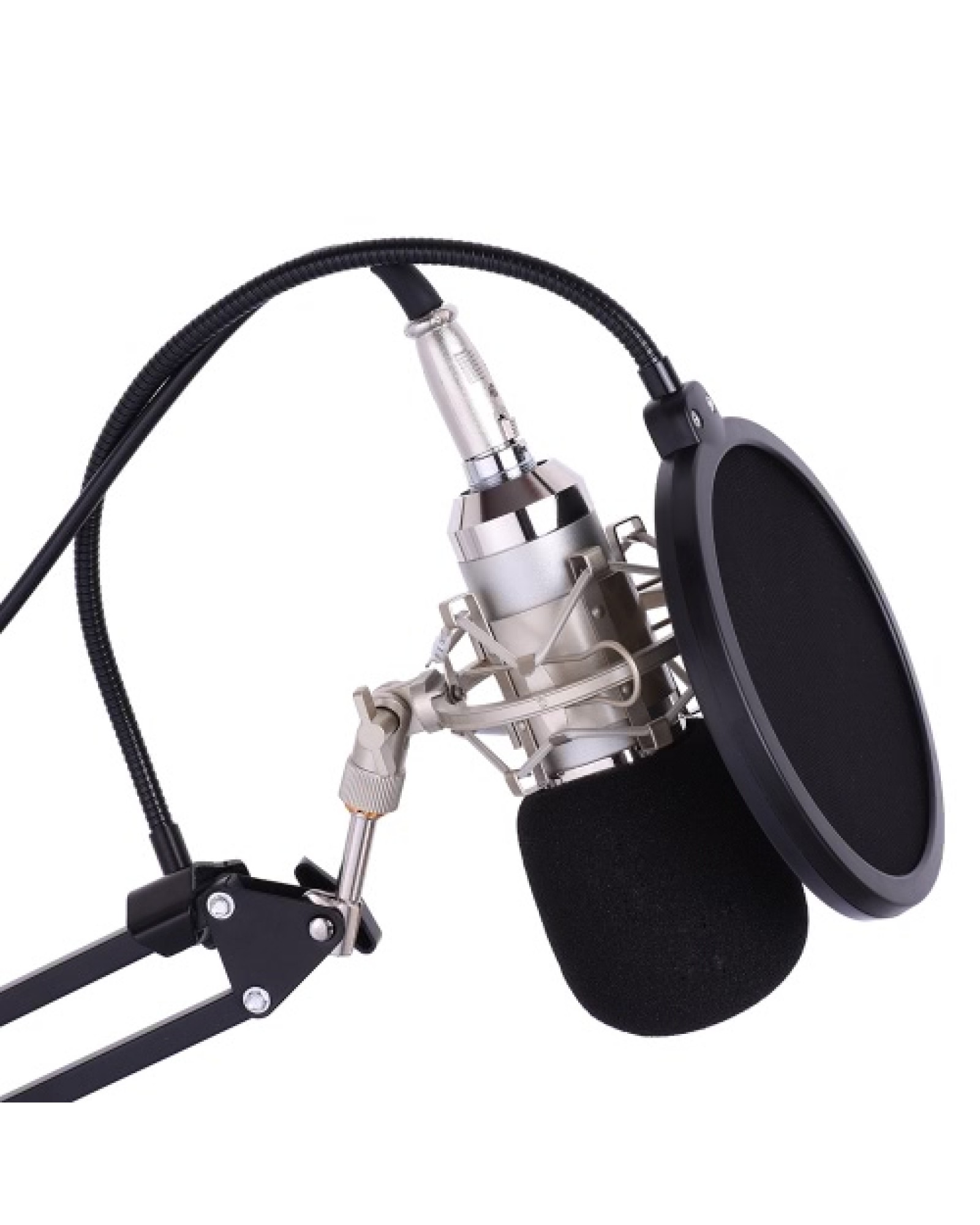 Professional Studio Broadcasting Recording Condenser Microphone Mic Kit Set