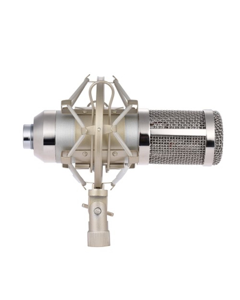 Professional Studio Broadcasting Recording Condenser Microphone Mic Kit Set
