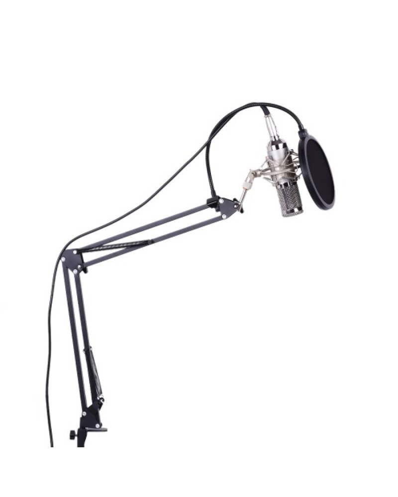 Professional Studio Broadcasting Recording Condenser Microphone Mic Kit Set