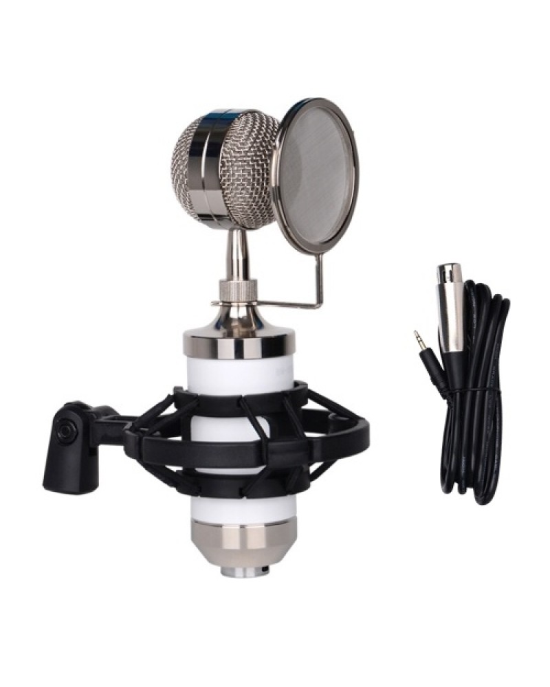 Recording Mic Cardioid Condenser Microphone Kit