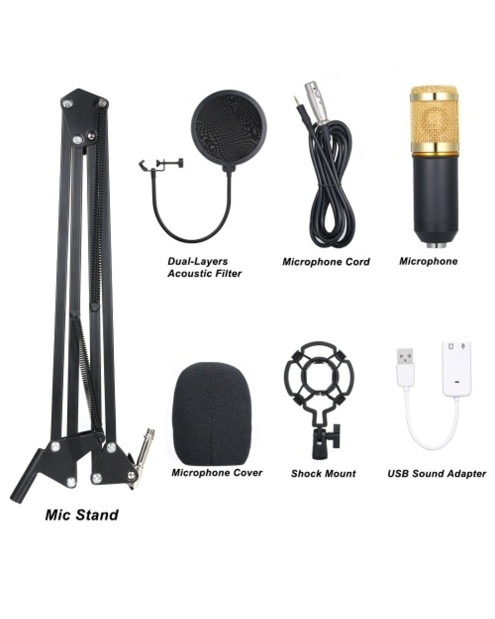 BM800 Professional Suspension Microphone Kit