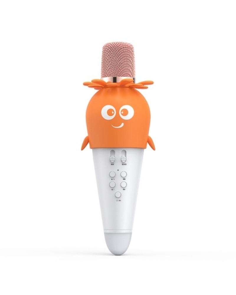 Wirelessly BT Karaoke Microphone for Kids