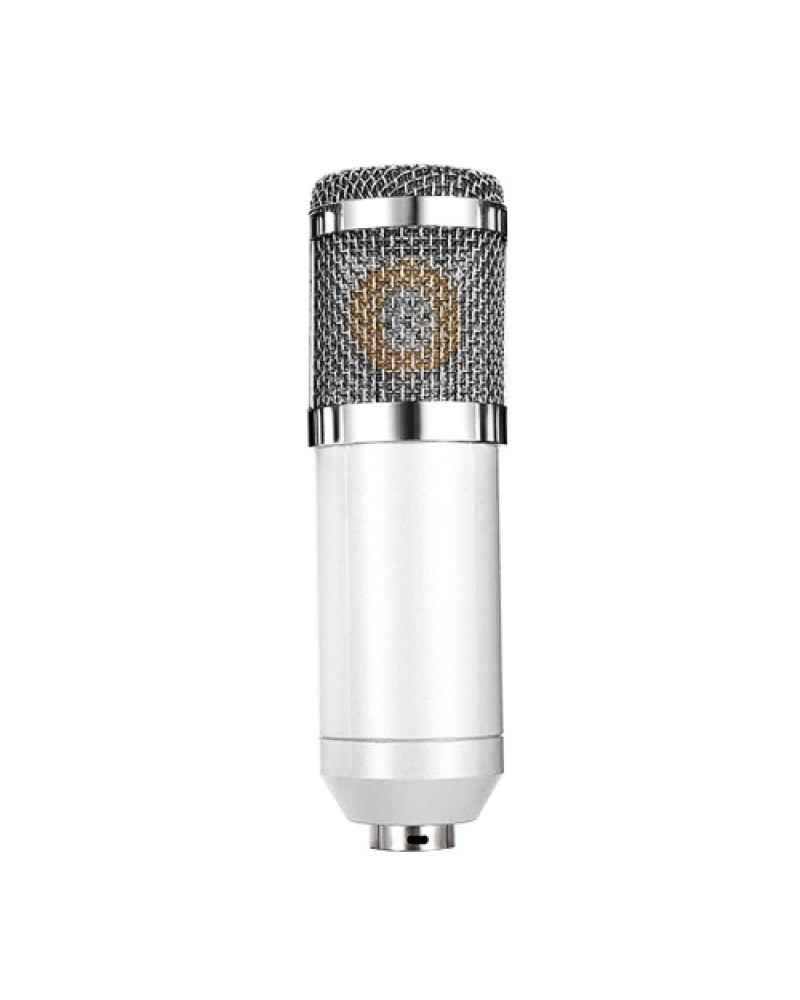 Condenser Microphone High Sensitivity Recording Microphone Professional Recording Equipment