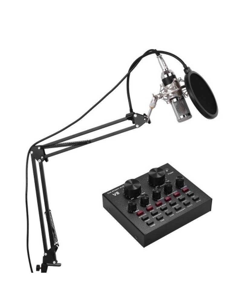 External Audio Mixing Sound Card USB Audio Interface with Multiple Sound Effects Built-in Rechargeable Battery +  Professional S