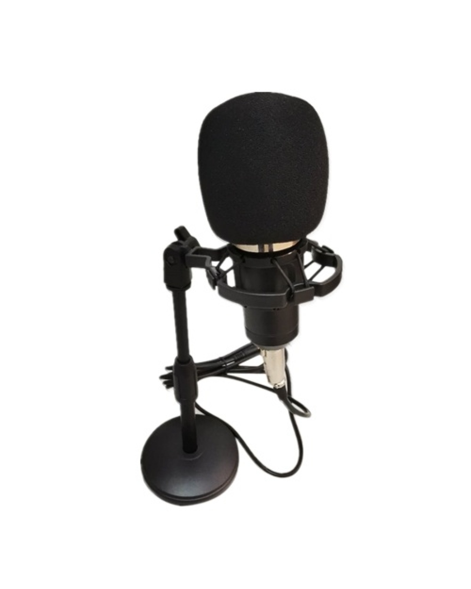 BM-800 Condenser Microphone