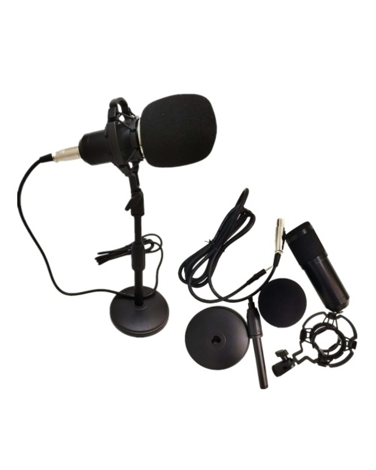 BM-800 Condenser Microphone
