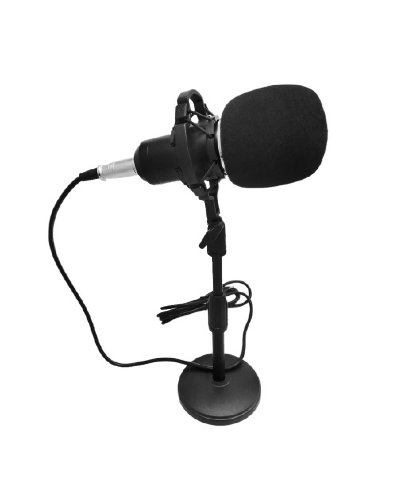 BM-800 Condenser Microphone