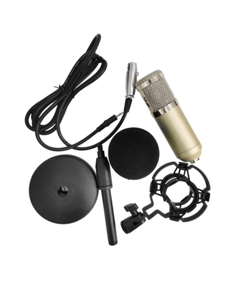 BM-800 Condenser Microphone