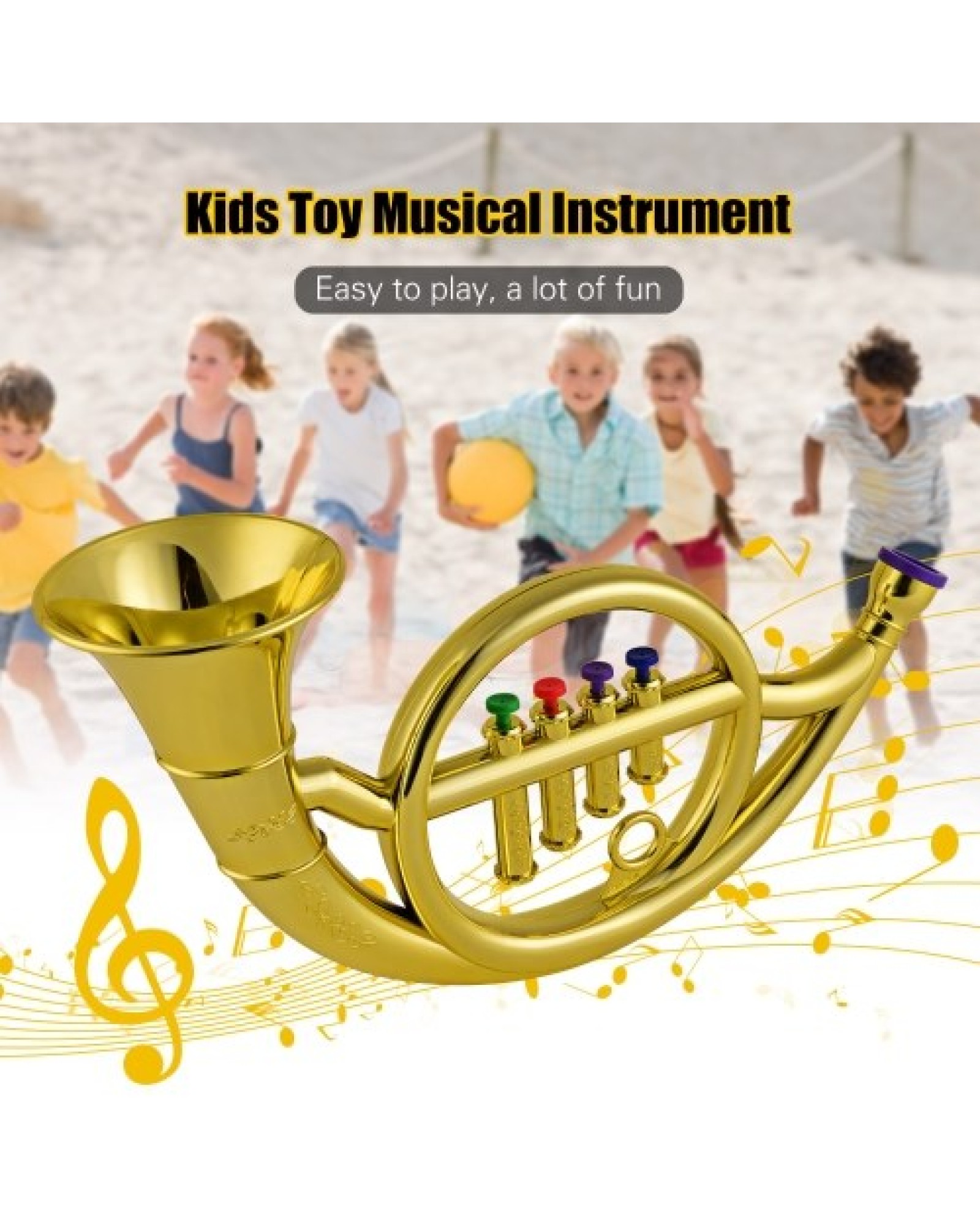 Musical Wind Instruments French Horn