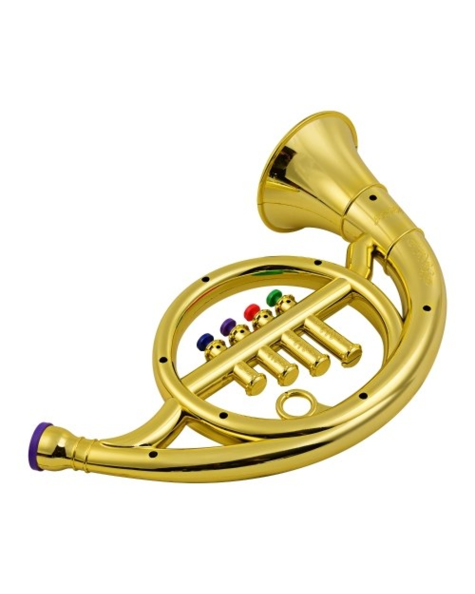 Musical Wind Instruments French Horn